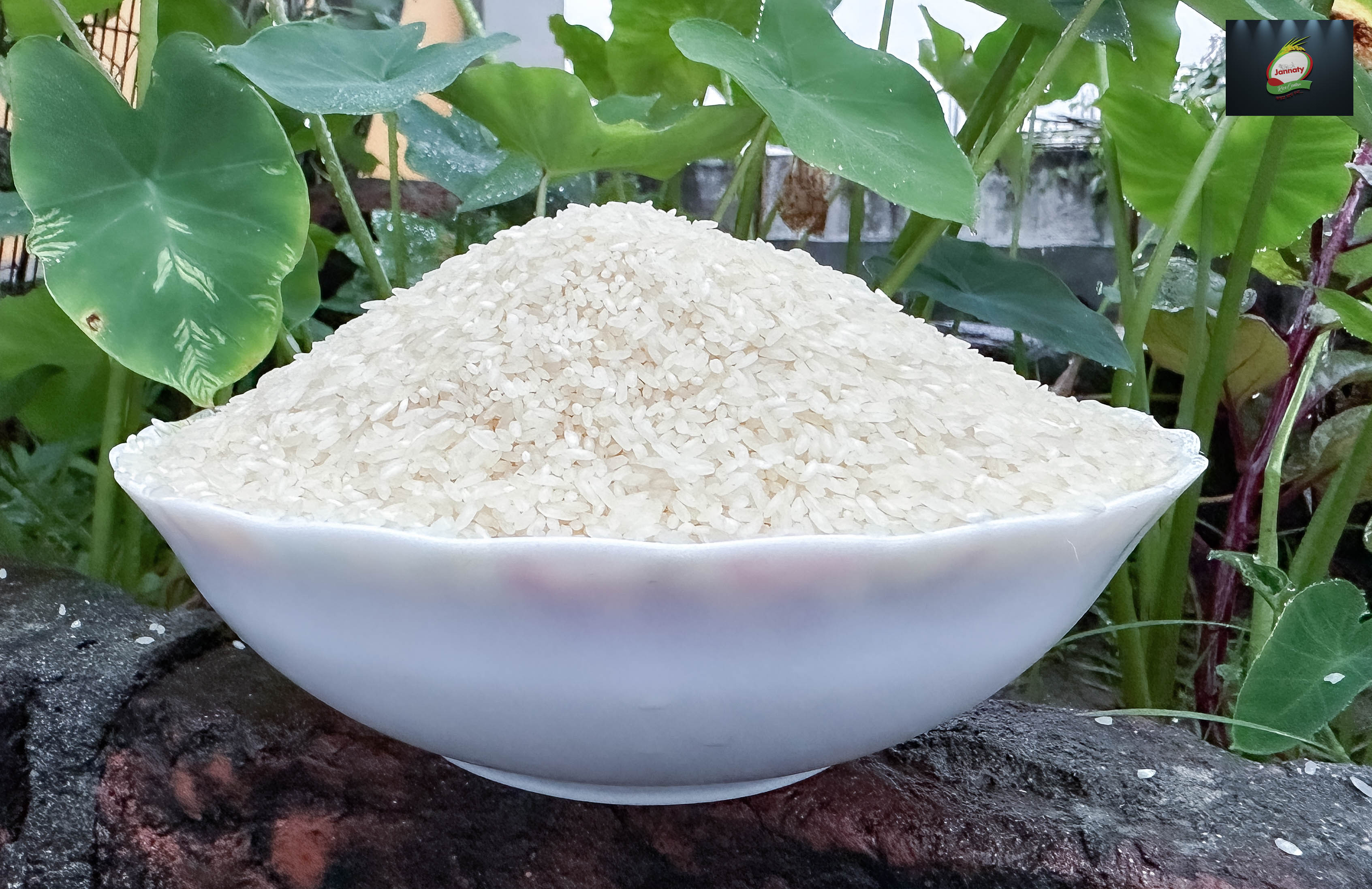 Doodh Kolom Rice
